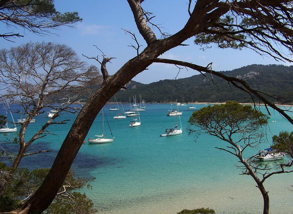 Le Cube Hotel Design A Hyeres Plage Avec Piscine Et Cuisine المظهر الخارجي الصورة